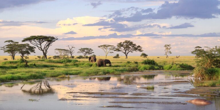 3 Days Tanzania Budget Sharing Safari